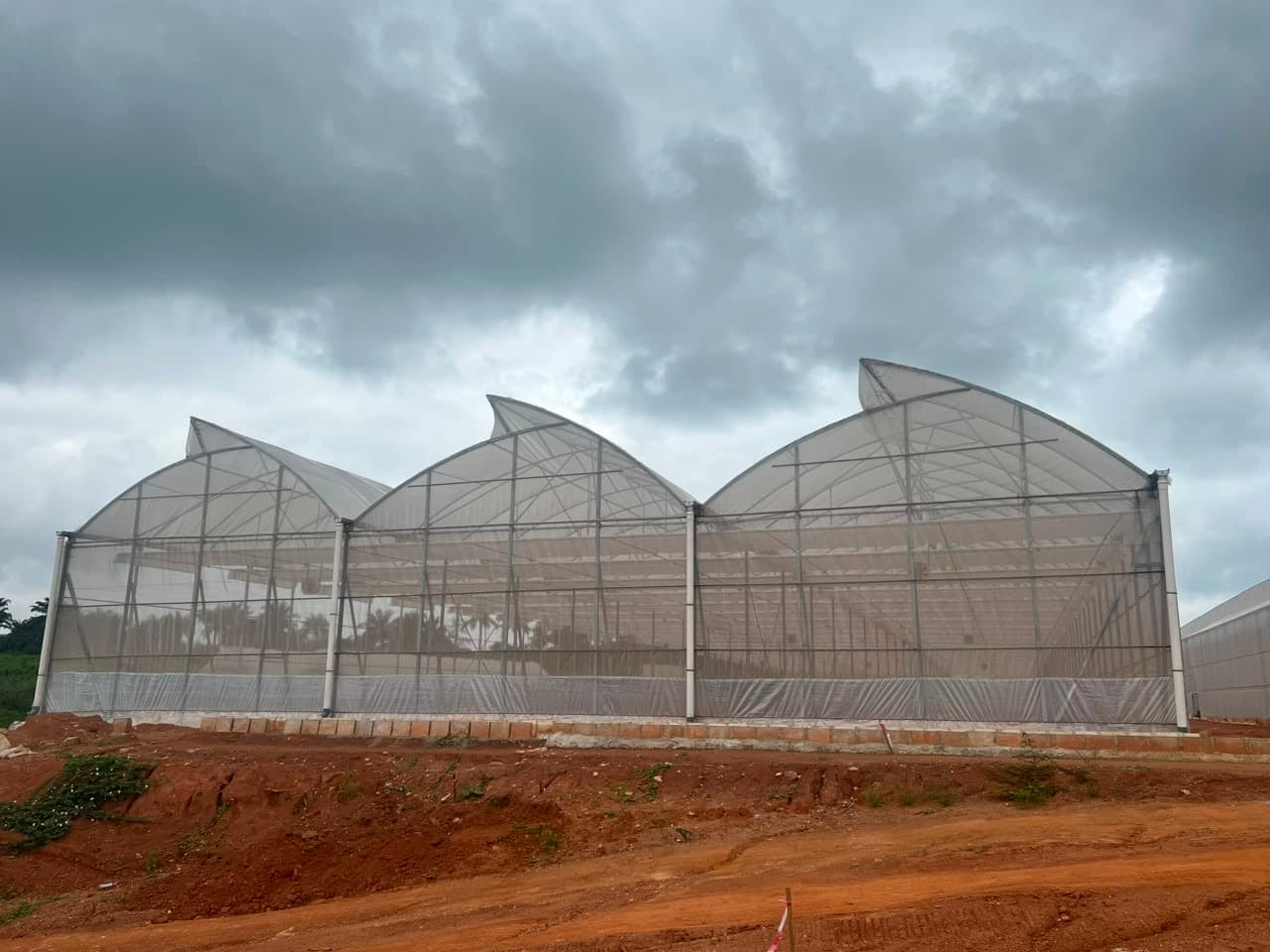Noreta Farms media 22