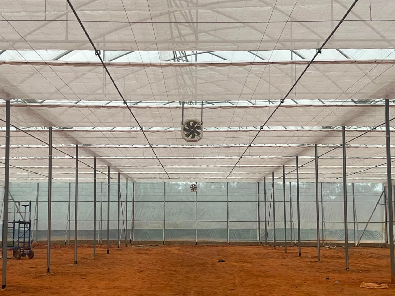 Noreta Farms media 23